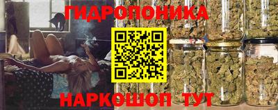 наркотики Дубна