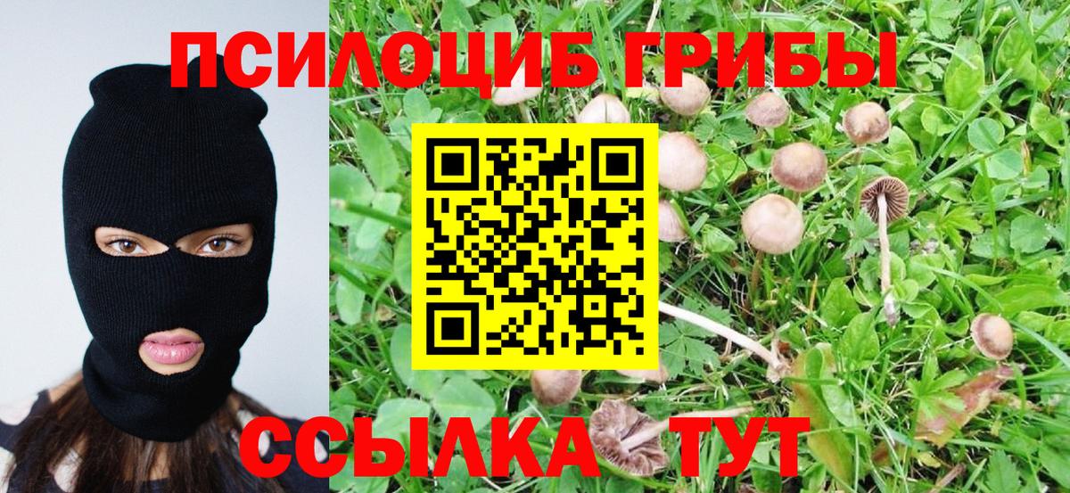 Галлюциногенные грибы Psilocybine cubensis  Вход с VPN  Минеральные Воды  Галлюциногенные грибы GOLDEN TEACHER 