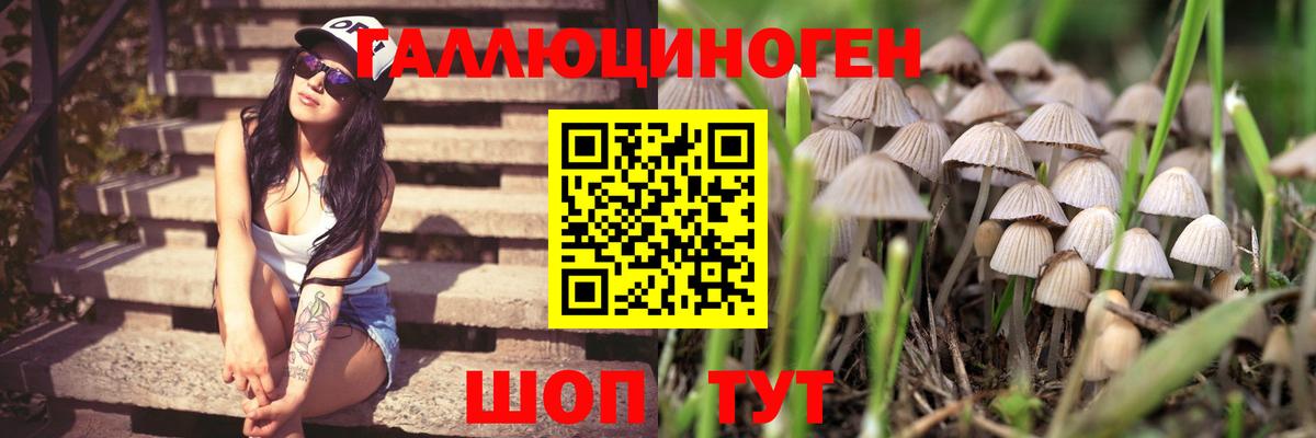Галлюциногенные грибы мицелий Минеральные Воды